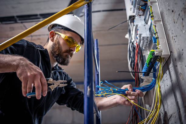 Best Electric Panel Repair  in Aurora, MO